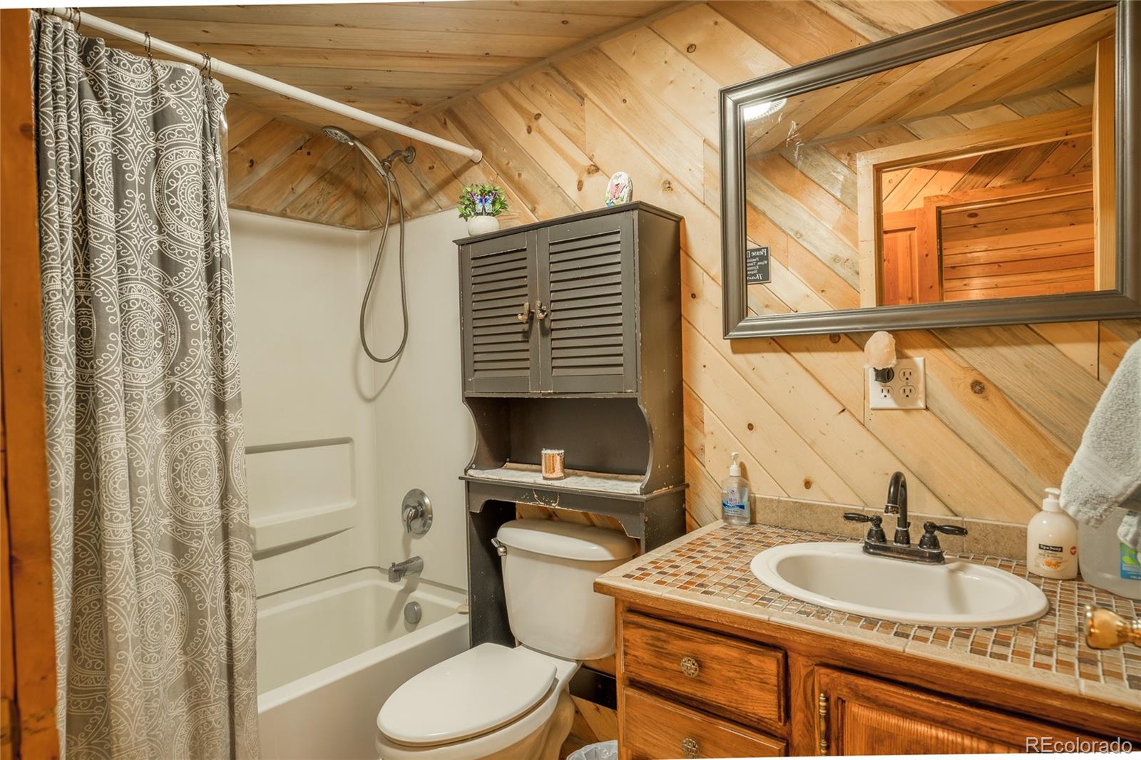MLS Image #18 for 9760  stanley road,alamosa, Colorado