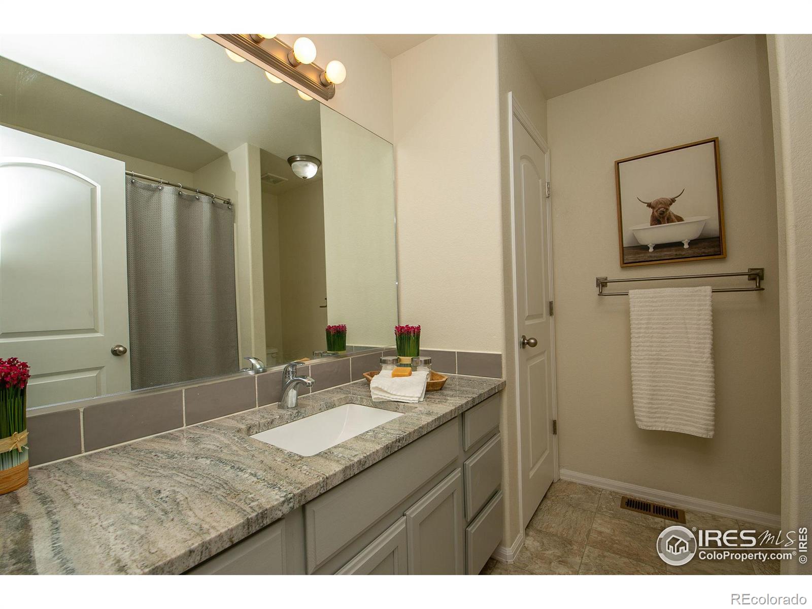 MLS Image #13 for 7372  dunes street,wellington, Colorado