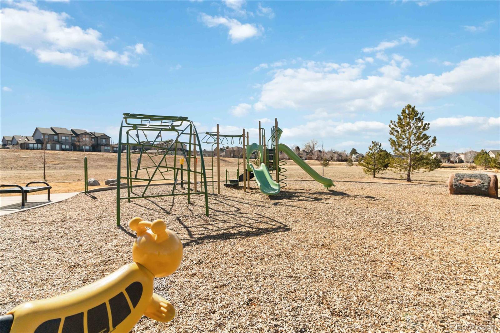 MLS Image #47 for 11482  colony loop,parker, Colorado