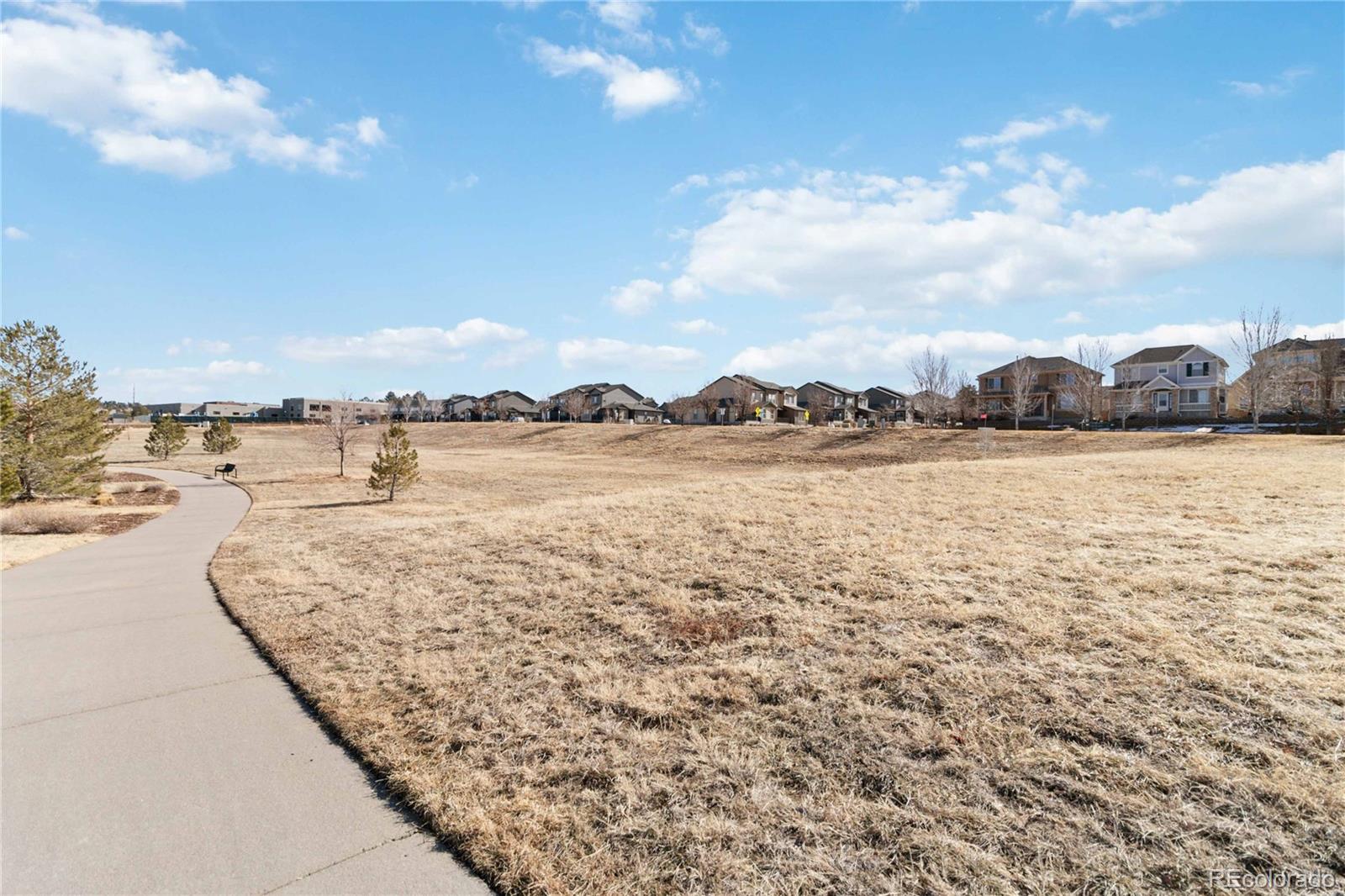 MLS Image #48 for 11482  colony loop,parker, Colorado