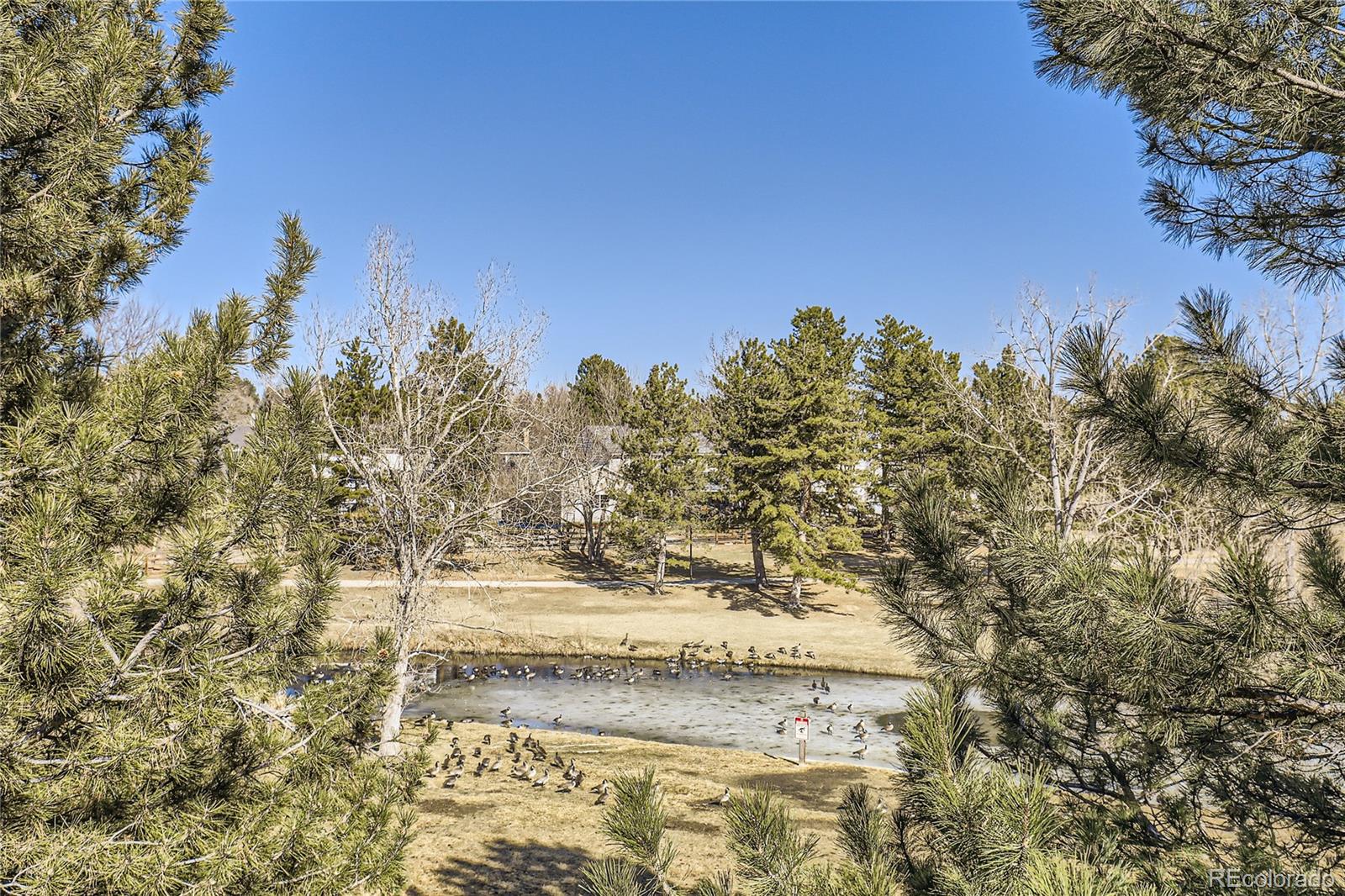 CMA Image for 10425  Red Mountain west ,Littleton, Colorado