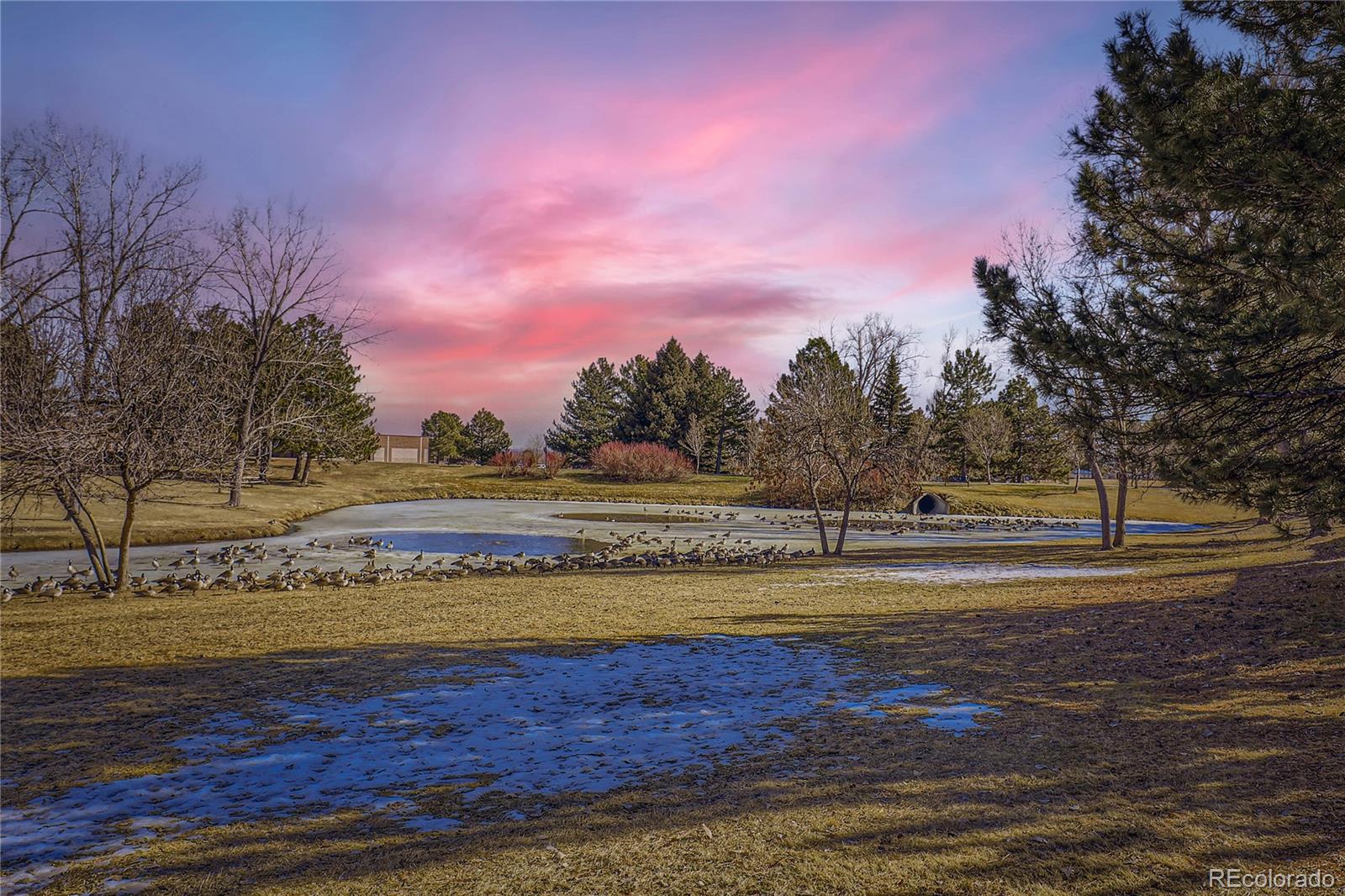 MLS Image #4 for 10425  red mountain west ,littleton, Colorado