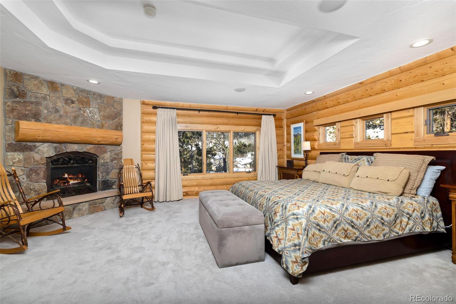 MLS Image #15 for 116  primrose place,frisco, Colorado