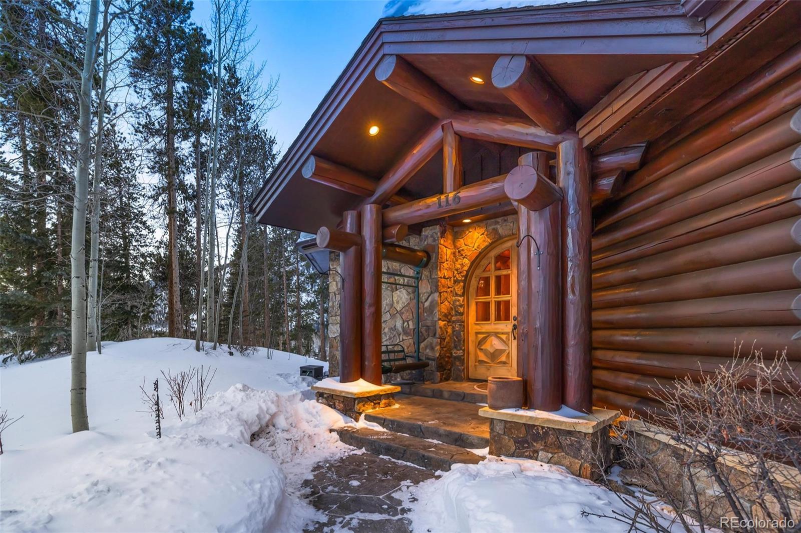 MLS Image #4 for 116  primrose place,frisco, Colorado