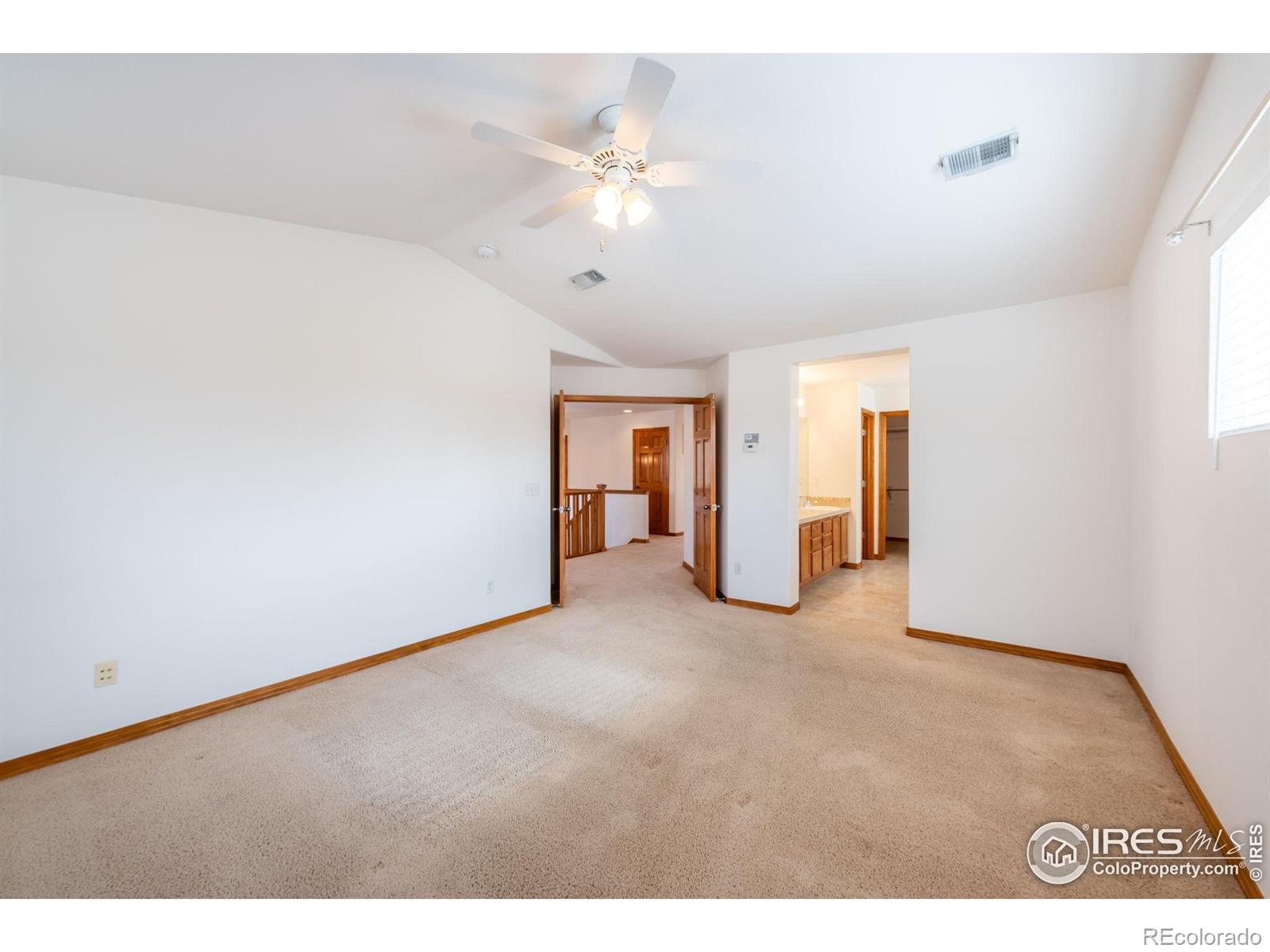 MLS Image #19 for 811  vireo court,longmont, Colorado