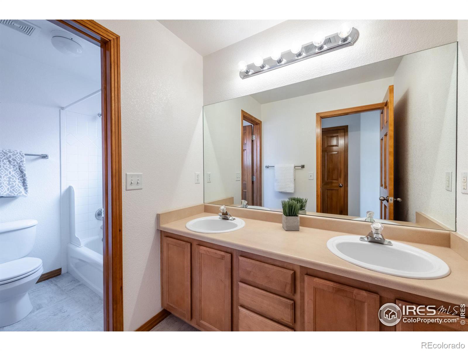 MLS Image #26 for 811  vireo court,longmont, Colorado