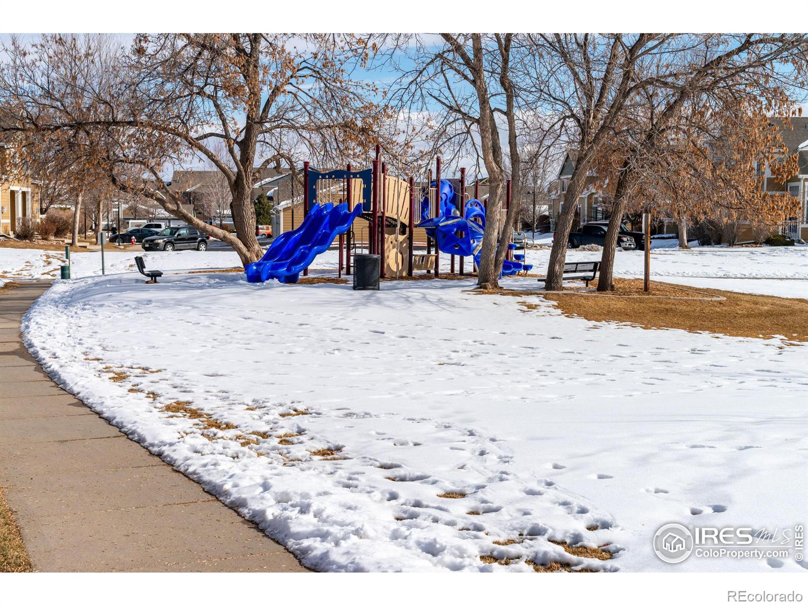 MLS Image #38 for 811  vireo court,longmont, Colorado