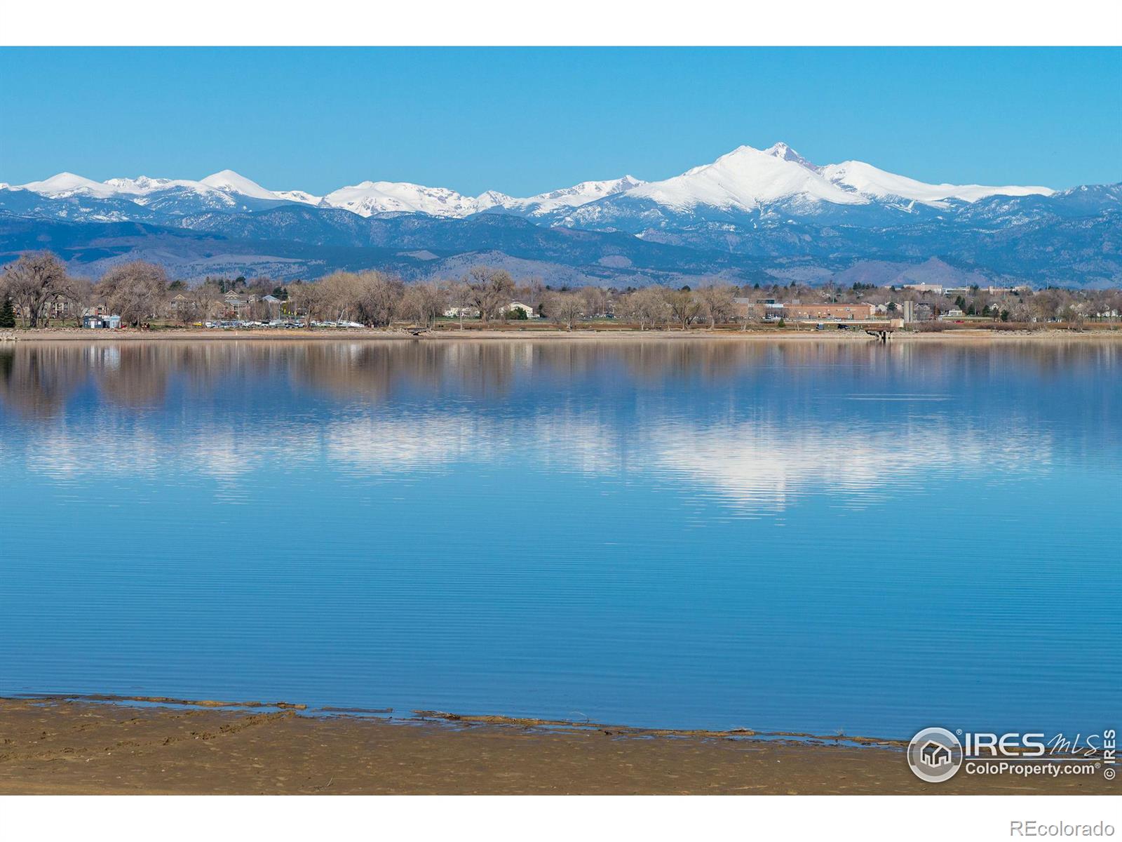 MLS Image #39 for 811  vireo court,longmont, Colorado