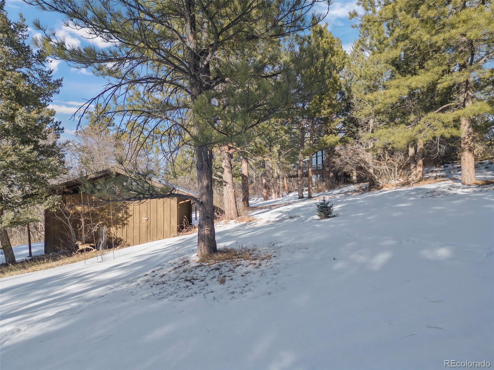 MLS Image #6 for 9142  warriors mark drive,franktown, Colorado