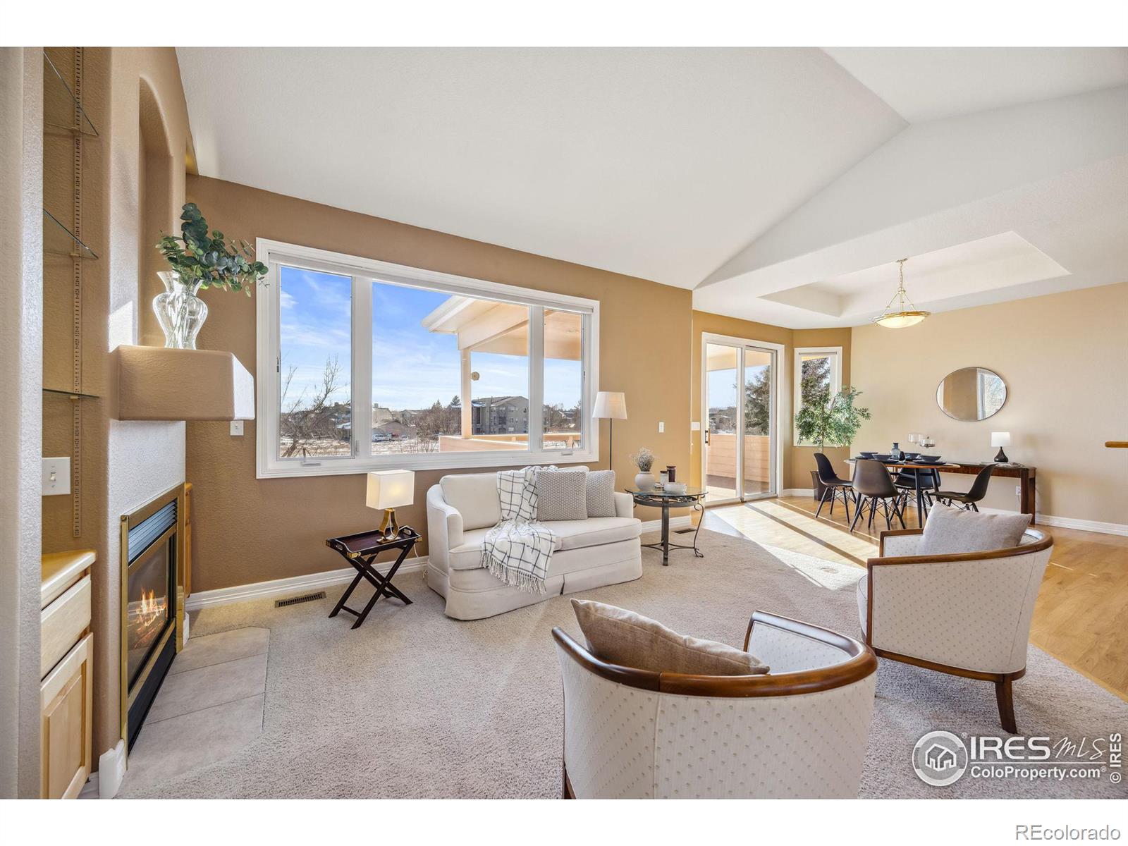 MLS Image #12 for 803  roma valley drive,fort collins, Colorado