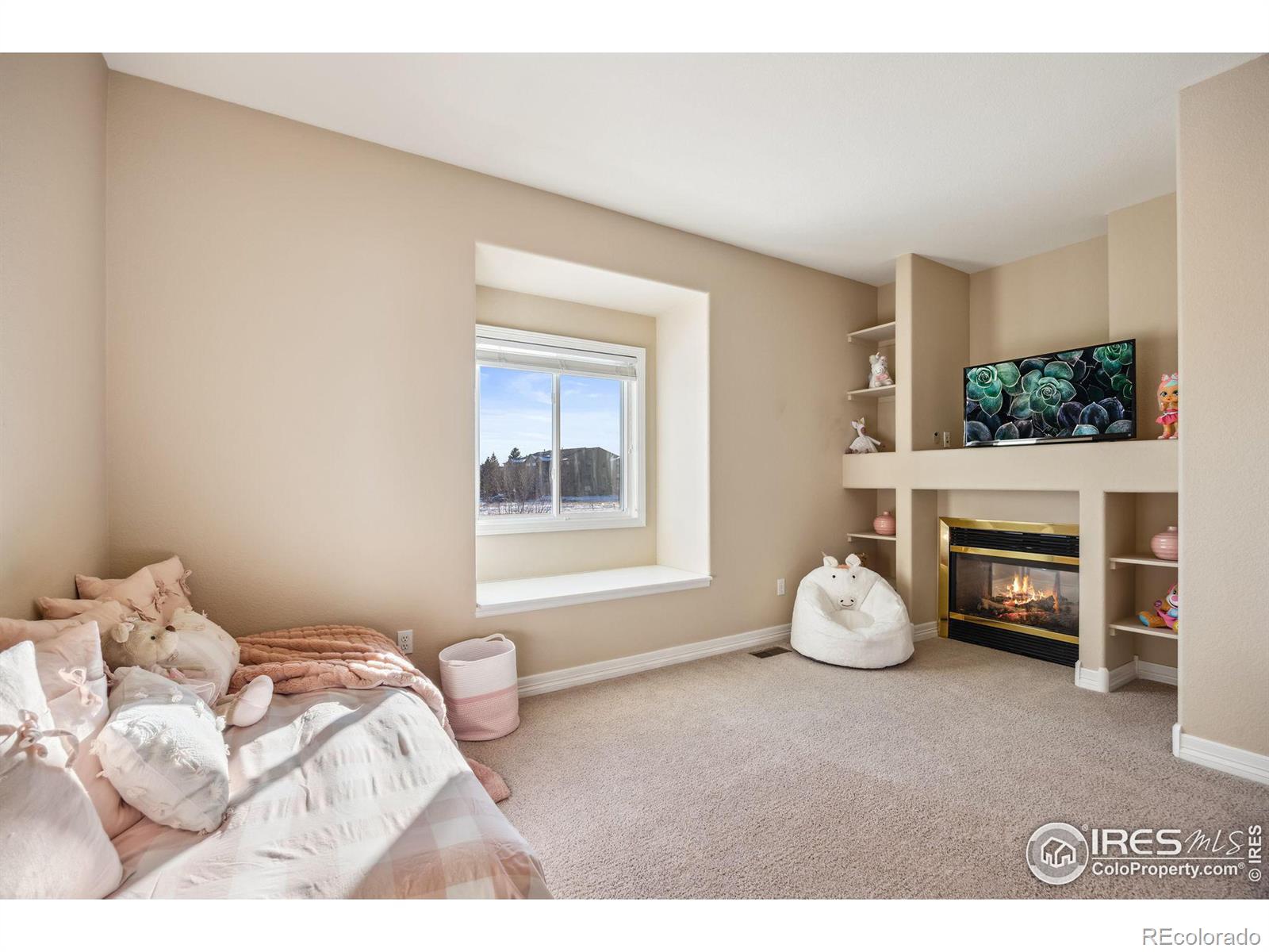 MLS Image #19 for 803  roma valley drive,fort collins, Colorado