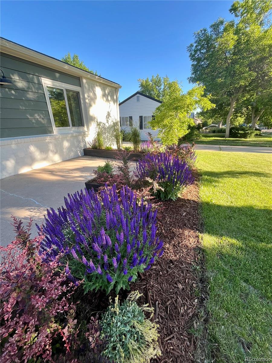 MLS Image #28 for 3371 s elm street,denver, Colorado