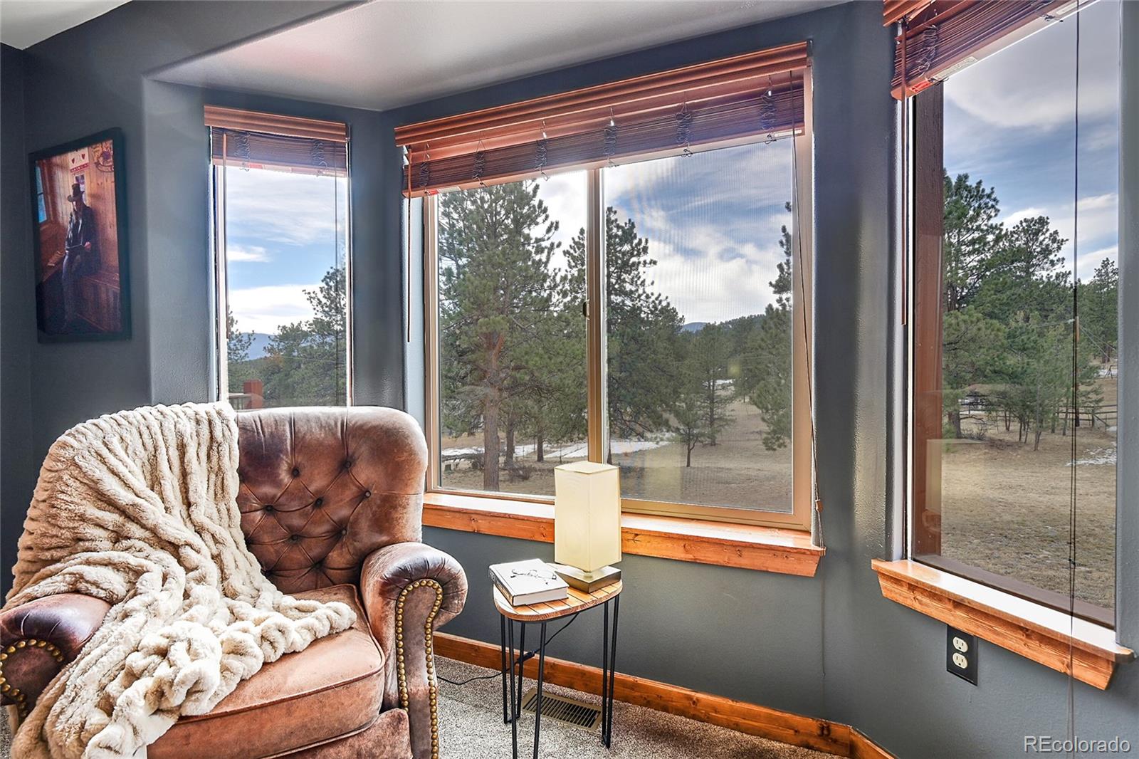 MLS Image #7 for 2284  roland drive,bailey, Colorado