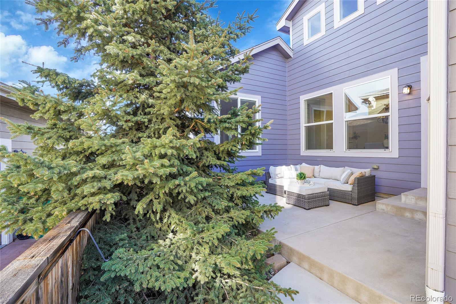 MLS Image #13 for 4748  bluegate drive,highlands ranch, Colorado