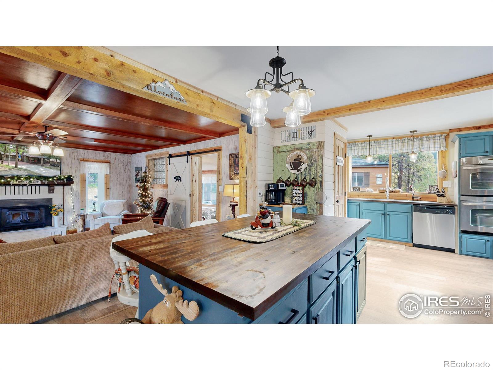 MLS Image #2 for 2420  big owl road,allenspark, Colorado