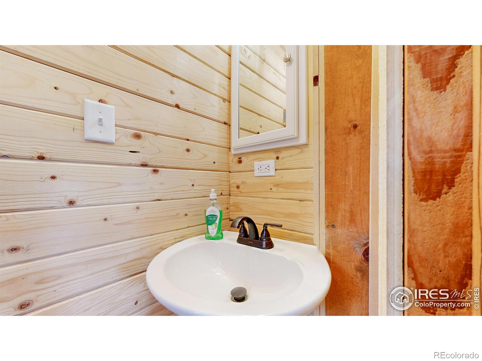 MLS Image #20 for 2420  big owl road,allenspark, Colorado