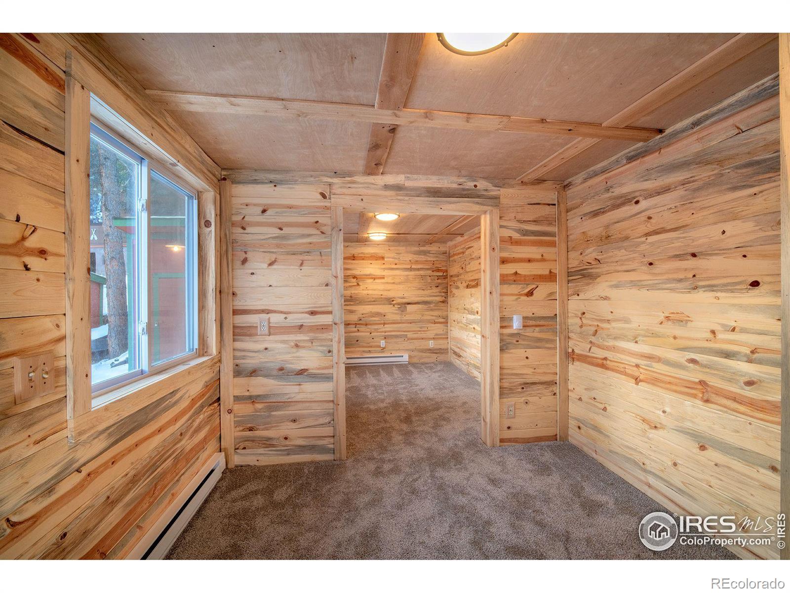 MLS Image #10 for 124  big pine lane,drake, Colorado