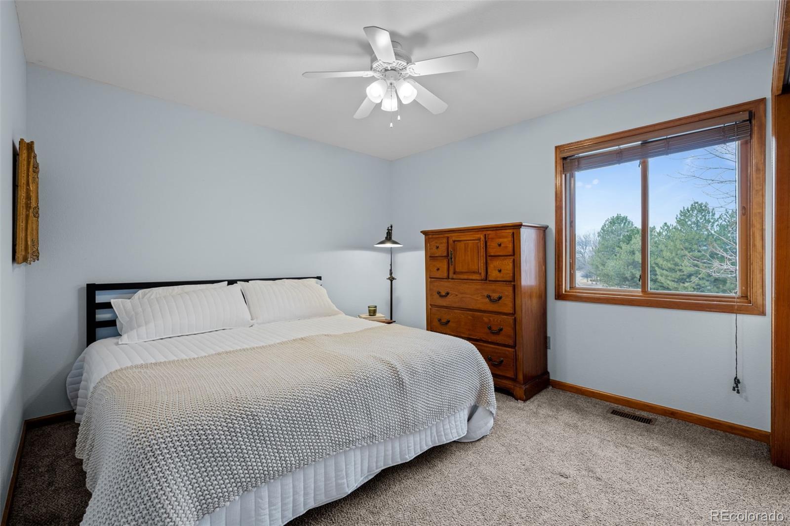 MLS Image #21 for 7202  snow peak court,niwot, Colorado