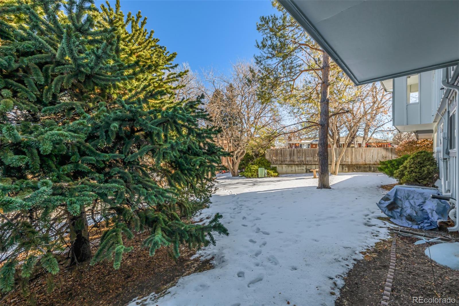 MLS Image #38 for 376  upham street,lakewood, Colorado