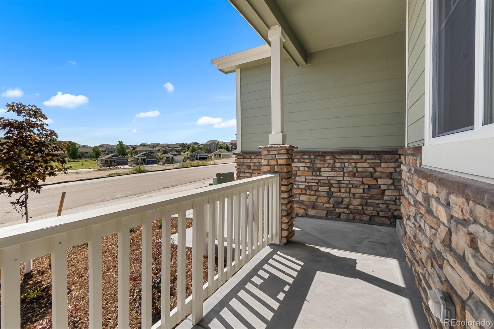 MLS Image #4 for 4567  westlock street,castle rock, Colorado