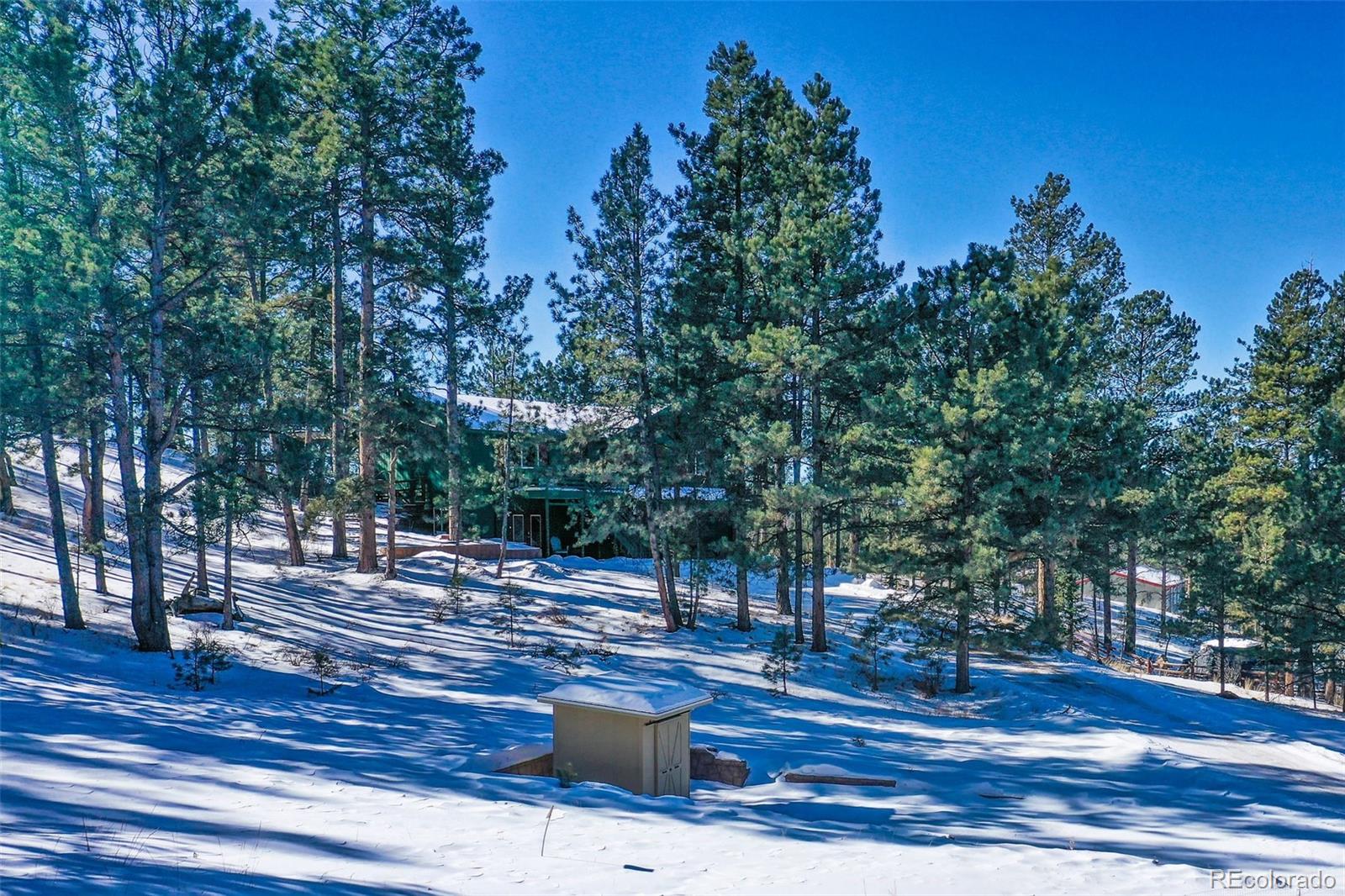 MLS Image #47 for 517  crystal peak road,florissant, Colorado