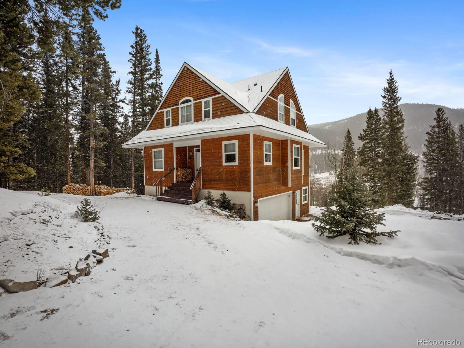 MLS Image #0 for 234  peterson drive,fairplay, Colorado