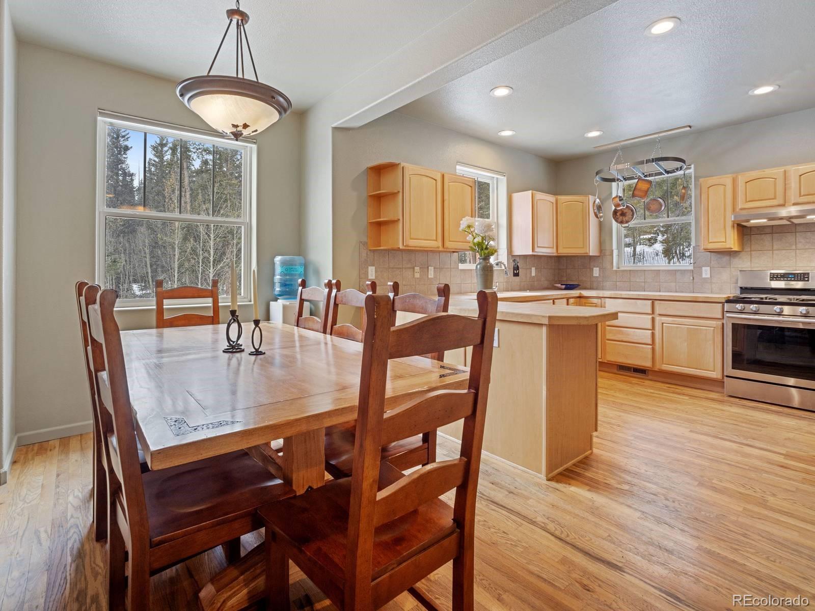 MLS Image #10 for 234  peterson drive,fairplay, Colorado