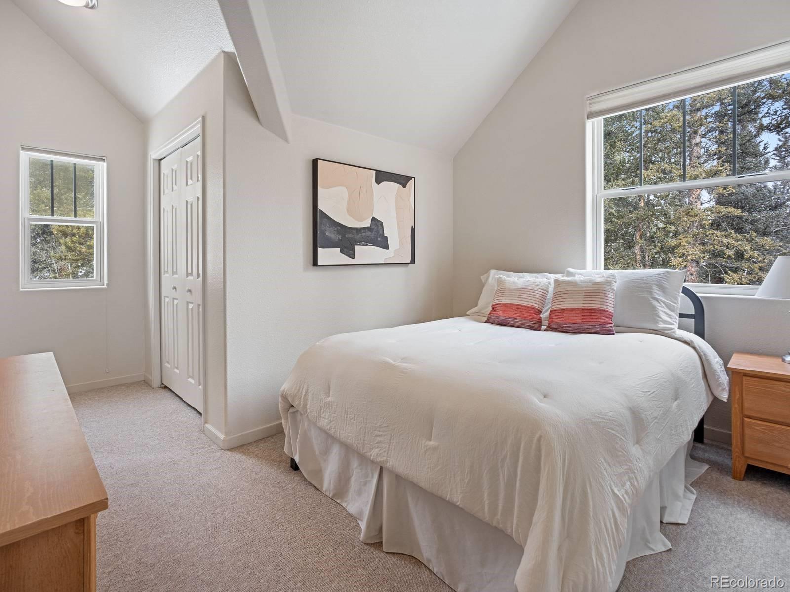 MLS Image #11 for 234  peterson drive,fairplay, Colorado