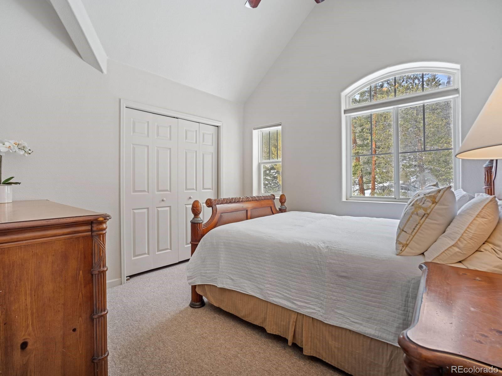 MLS Image #12 for 234  peterson drive,fairplay, Colorado