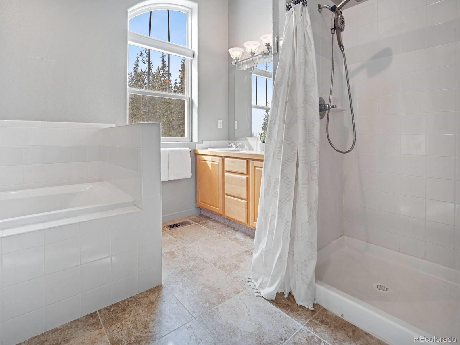 MLS Image #14 for 234  peterson drive,fairplay, Colorado