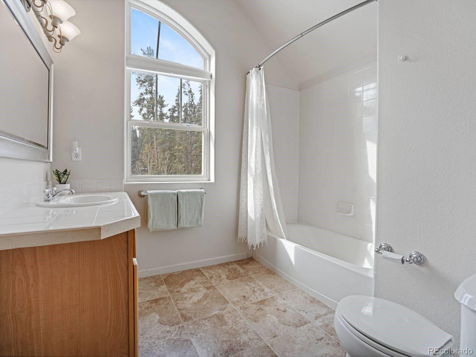 MLS Image #15 for 234  peterson drive,fairplay, Colorado