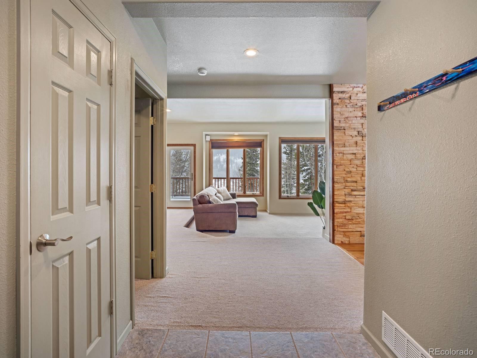 MLS Image #19 for 234  peterson drive,fairplay, Colorado