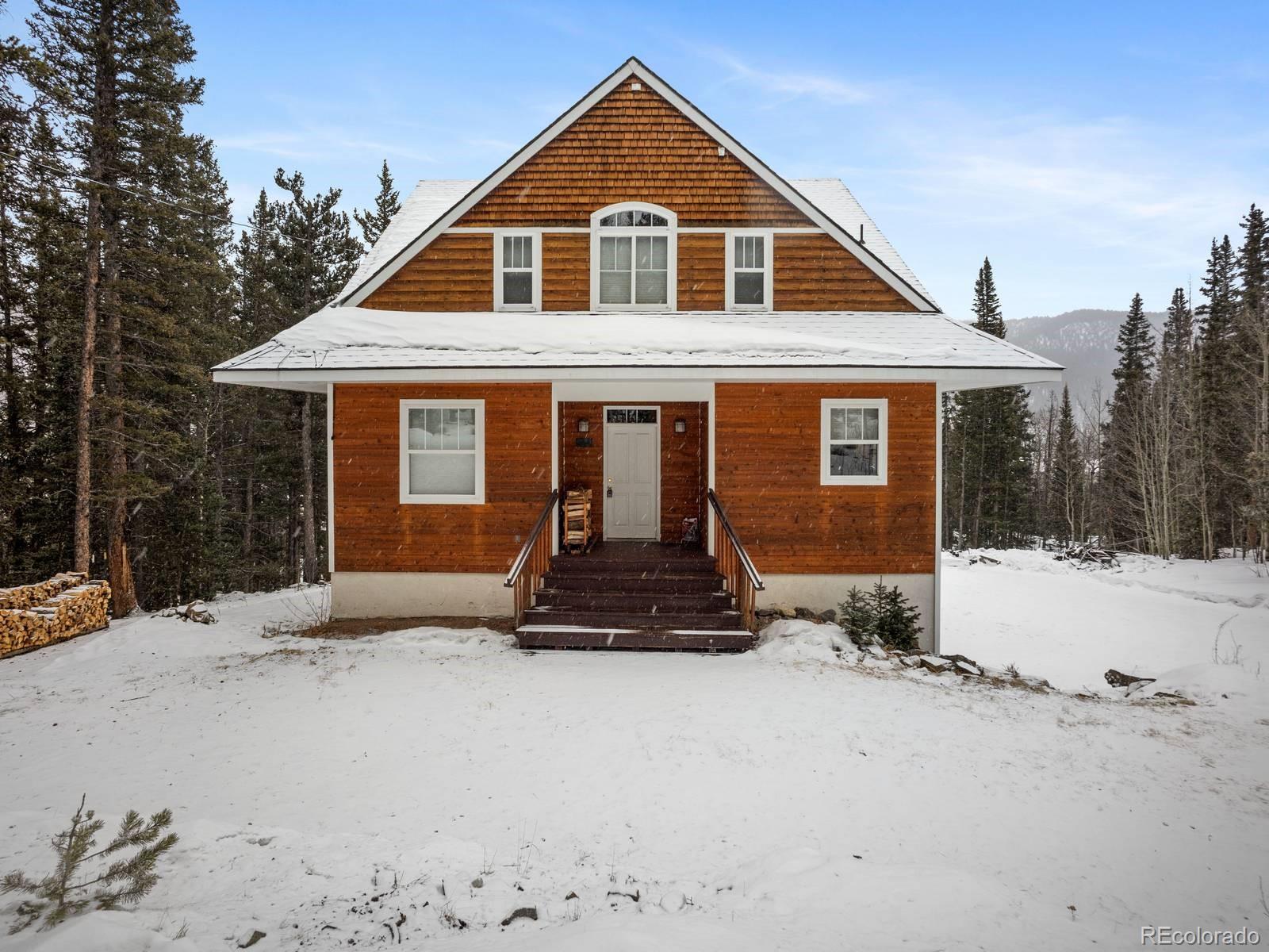MLS Image #2 for 234  peterson drive,fairplay, Colorado