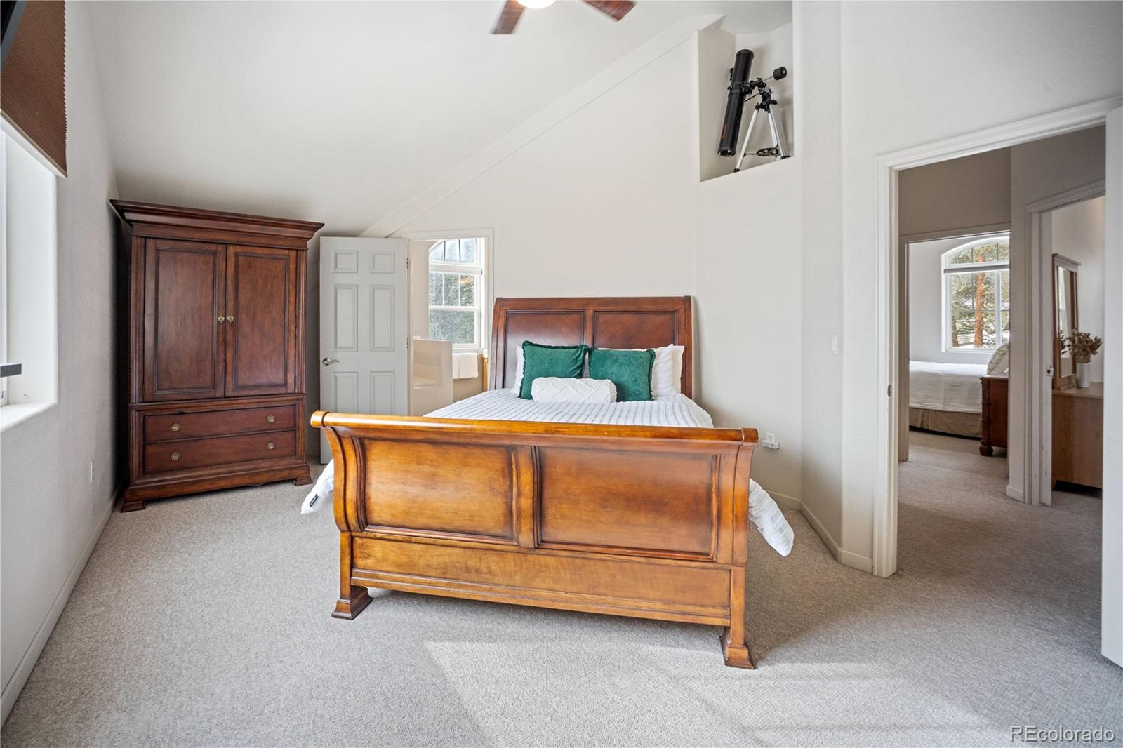 MLS Image #21 for 234  peterson drive,fairplay, Colorado
