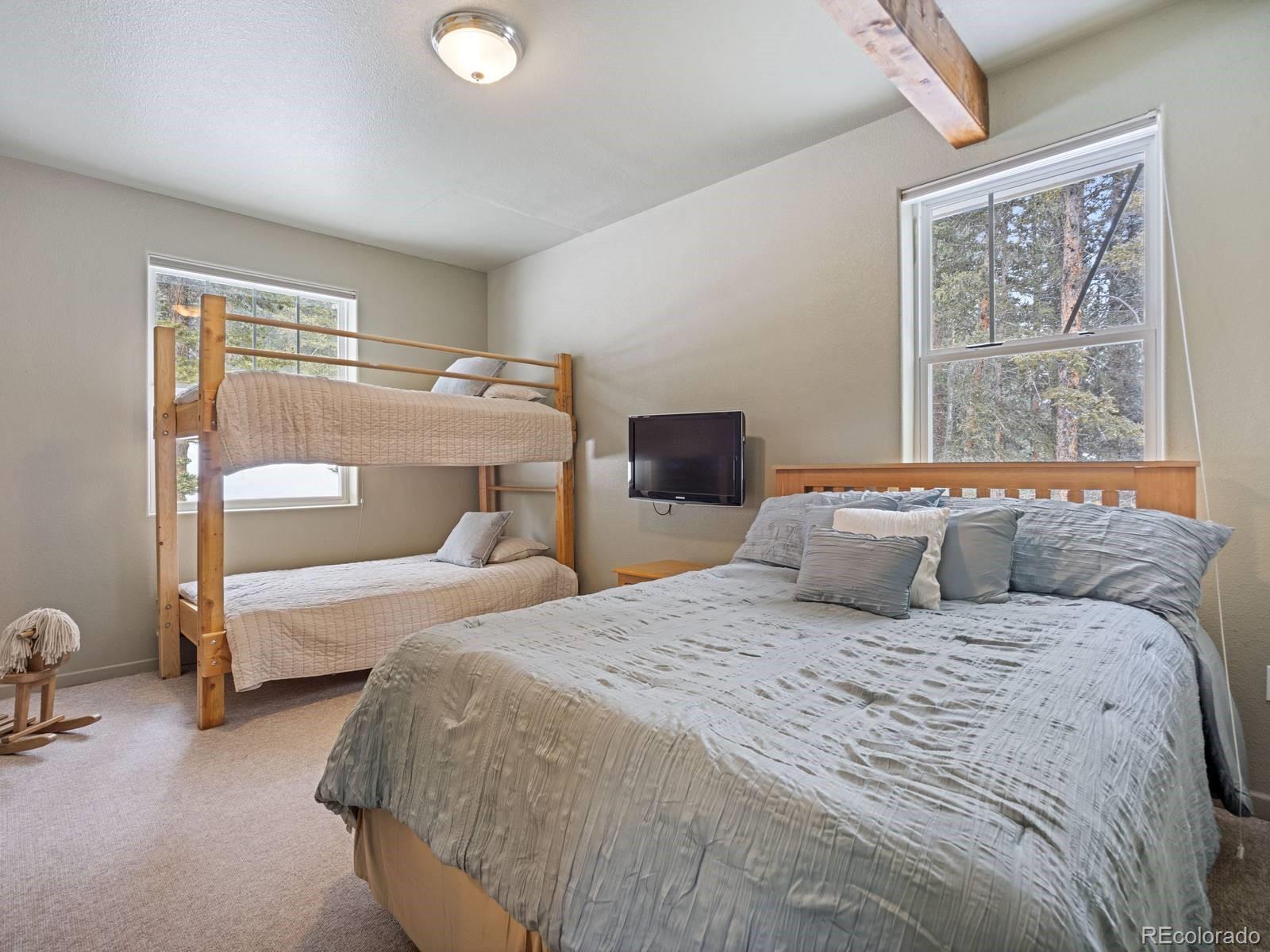 MLS Image #23 for 234  peterson drive,fairplay, Colorado