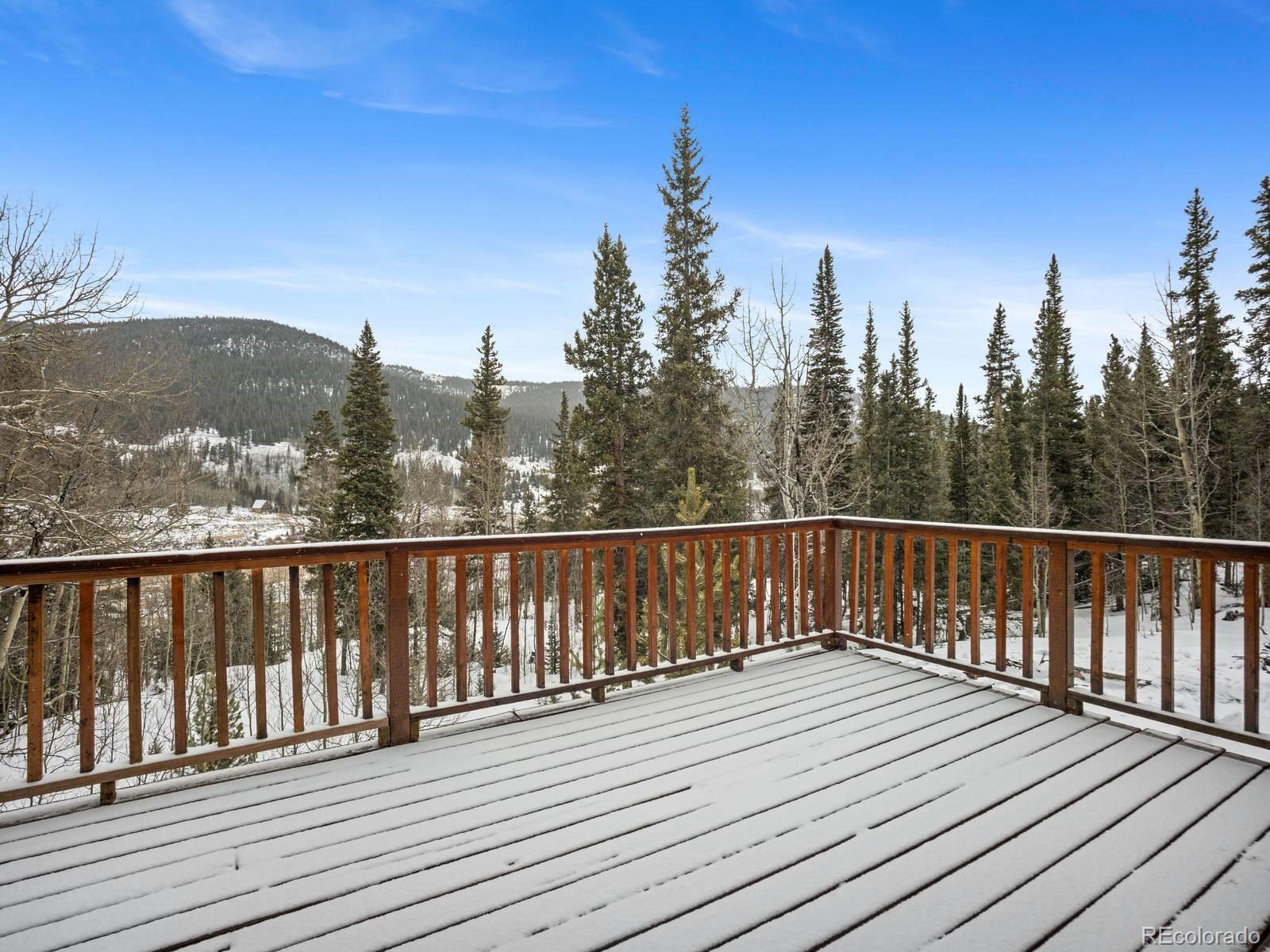 MLS Image #28 for 234  peterson drive,fairplay, Colorado