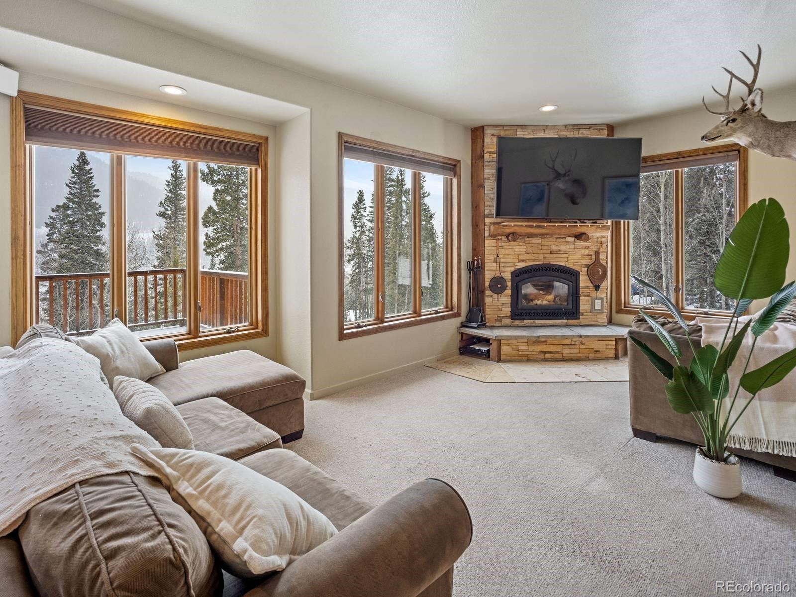 MLS Image #5 for 234  peterson drive,fairplay, Colorado