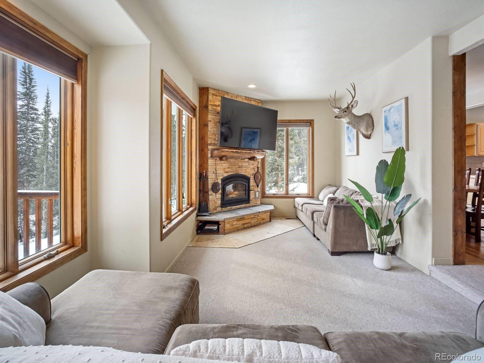 MLS Image #6 for 234  peterson drive,fairplay, Colorado