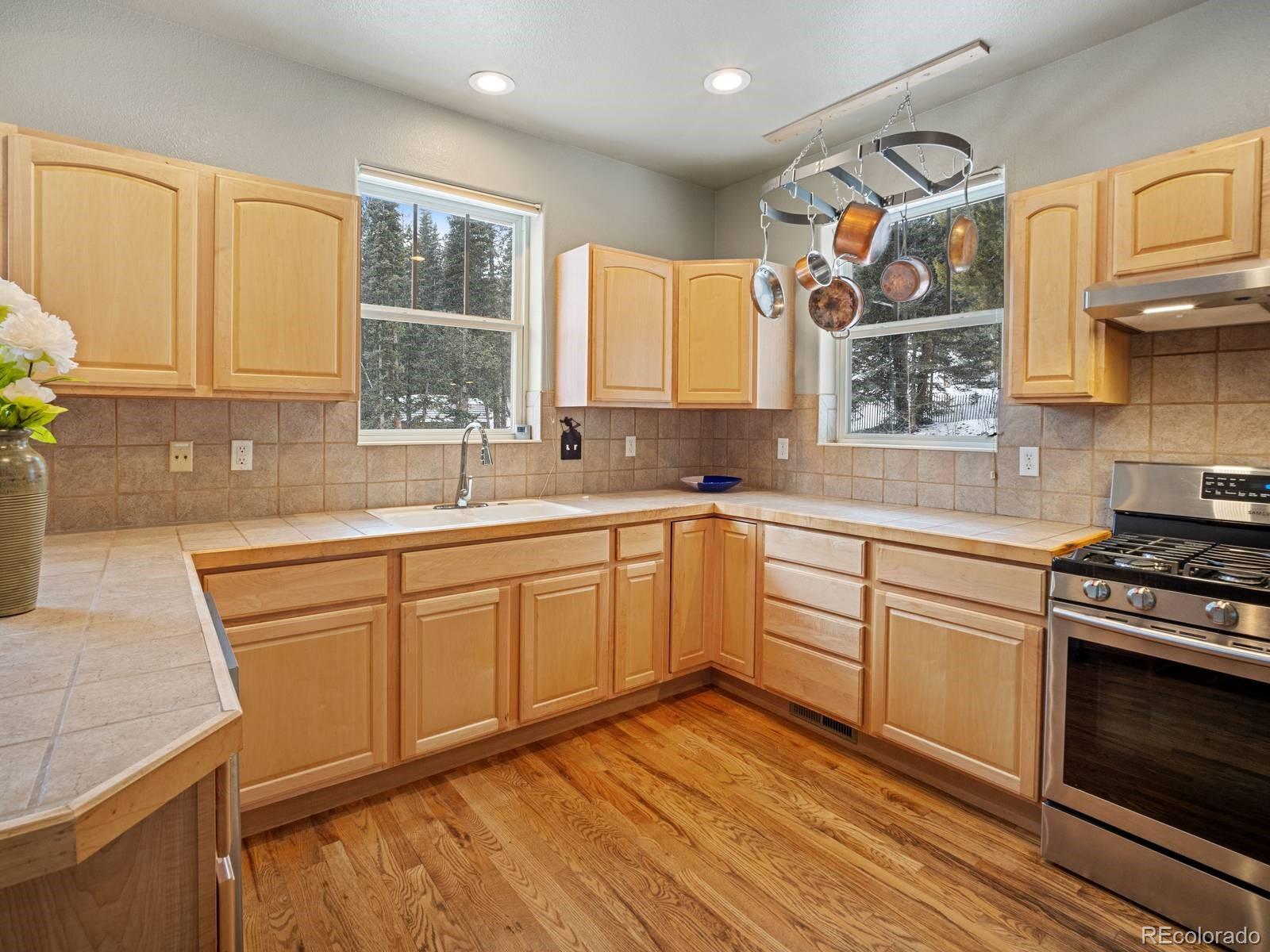MLS Image #8 for 234  peterson drive,fairplay, Colorado