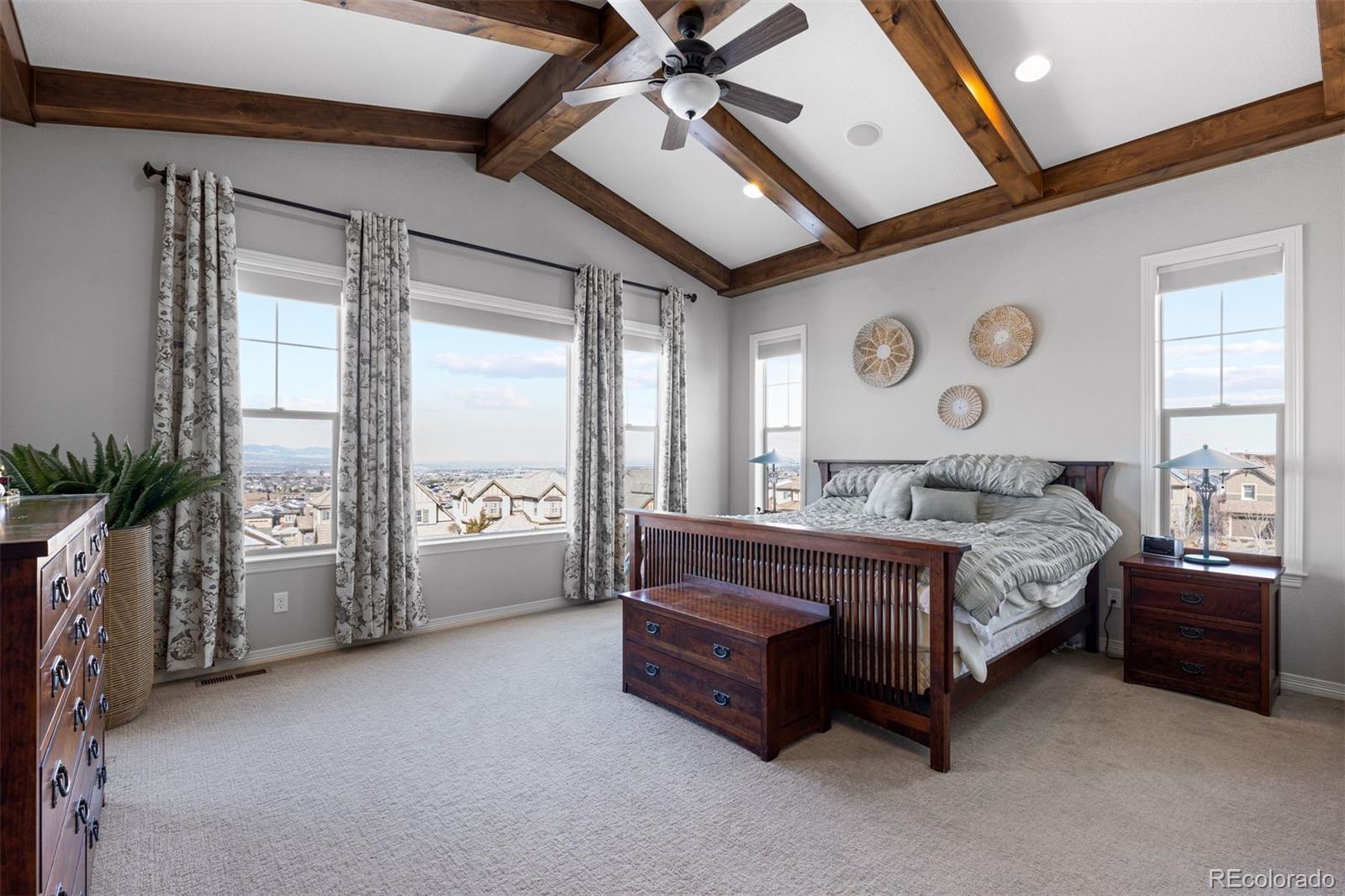 MLS Image #21 for 10640  winding pine point,highlands ranch, Colorado