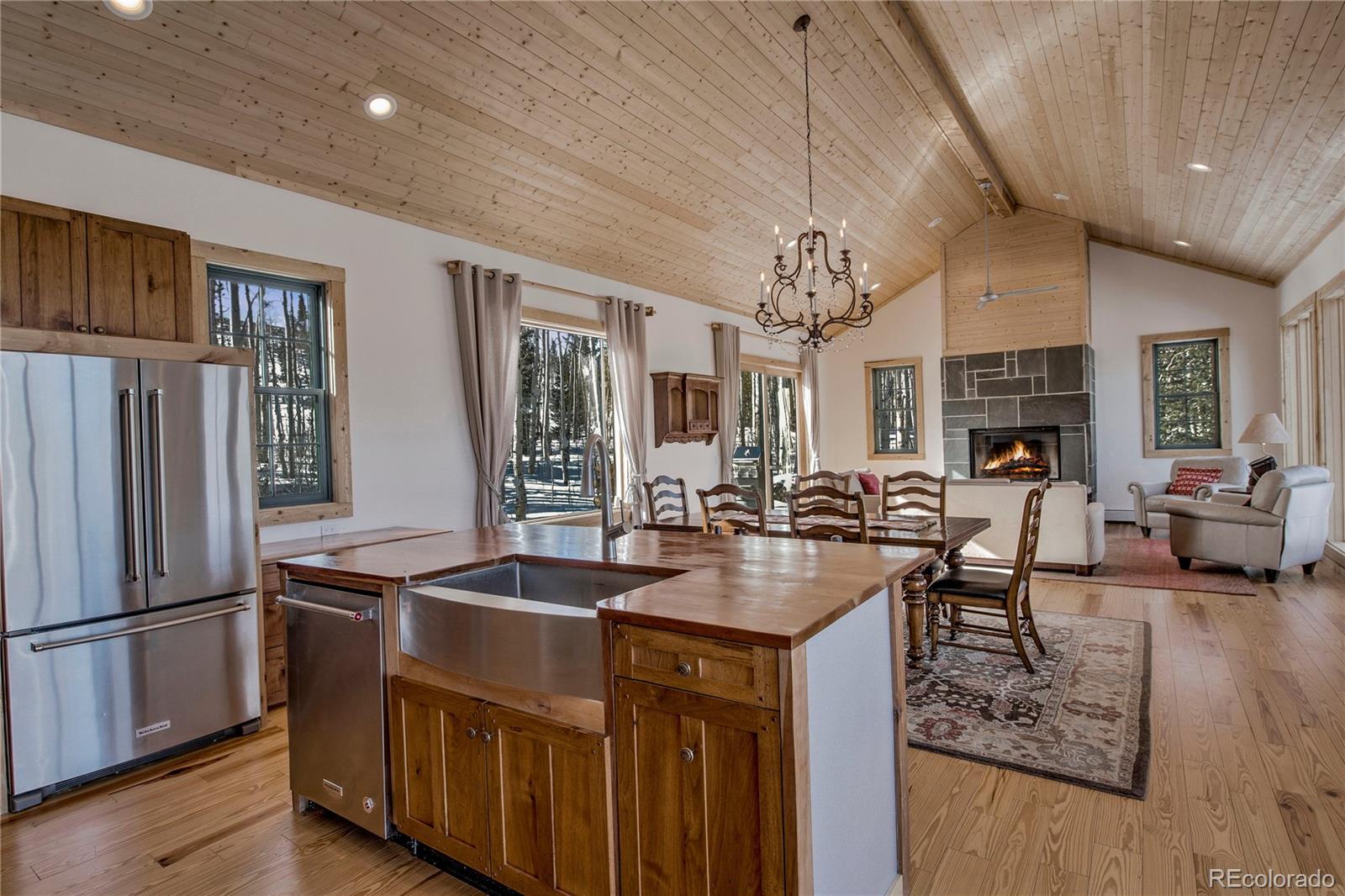 MLS Image #11 for 1225  high creek road,fairplay, Colorado