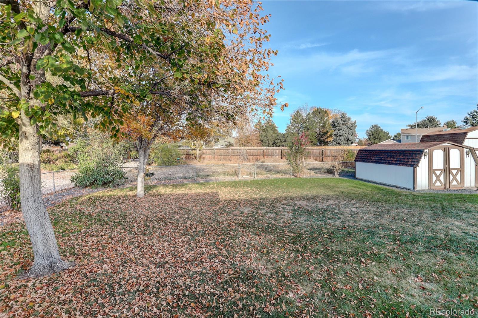 MLS Image #21 for 11644  jackson street,thornton, Colorado