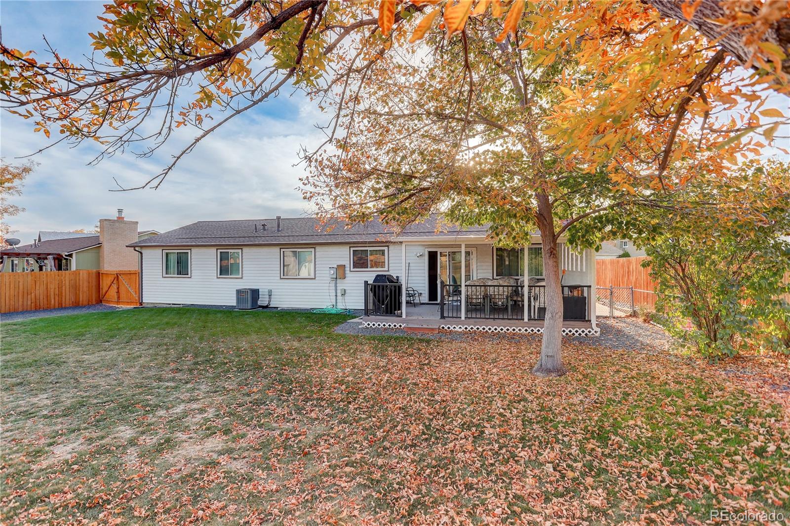 MLS Image #23 for 11644  jackson street,thornton, Colorado