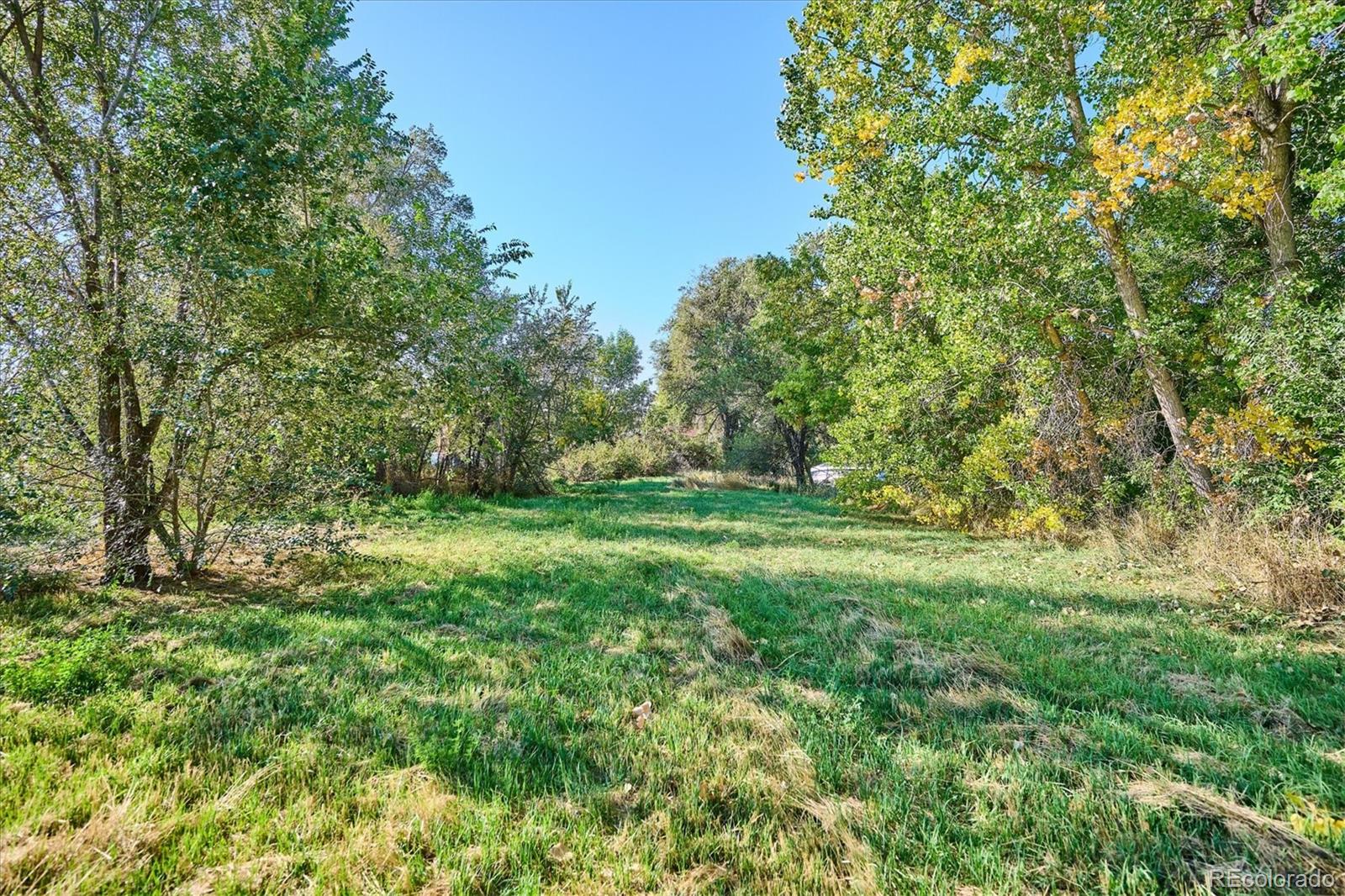 MLS Image #19 for 7735  westview drive,lakewood, Colorado