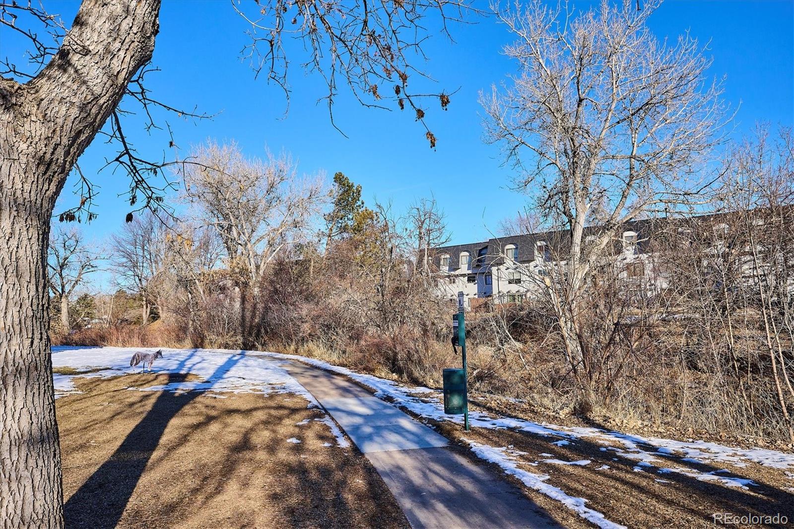 MLS Image #3 for 309 e highline circle 103,centennial, Colorado