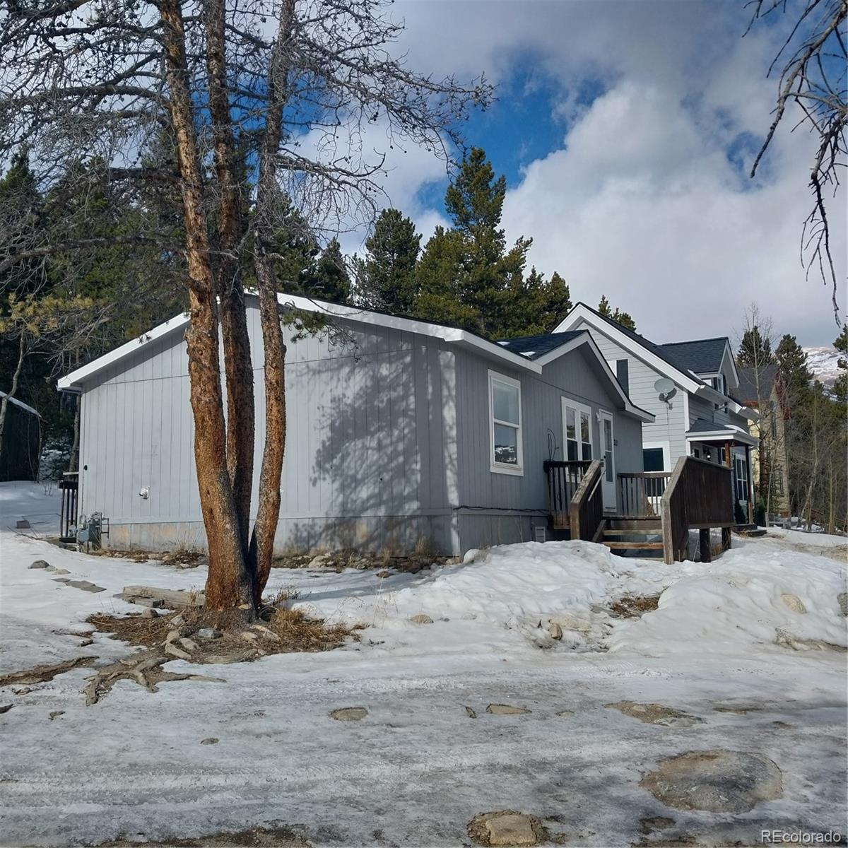 MLS Image #14 for 311 n oak street,alma, Colorado