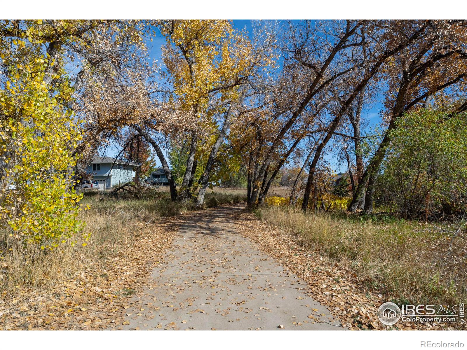 MLS Image #21 for 1111  elysian field drive,lafayette, Colorado