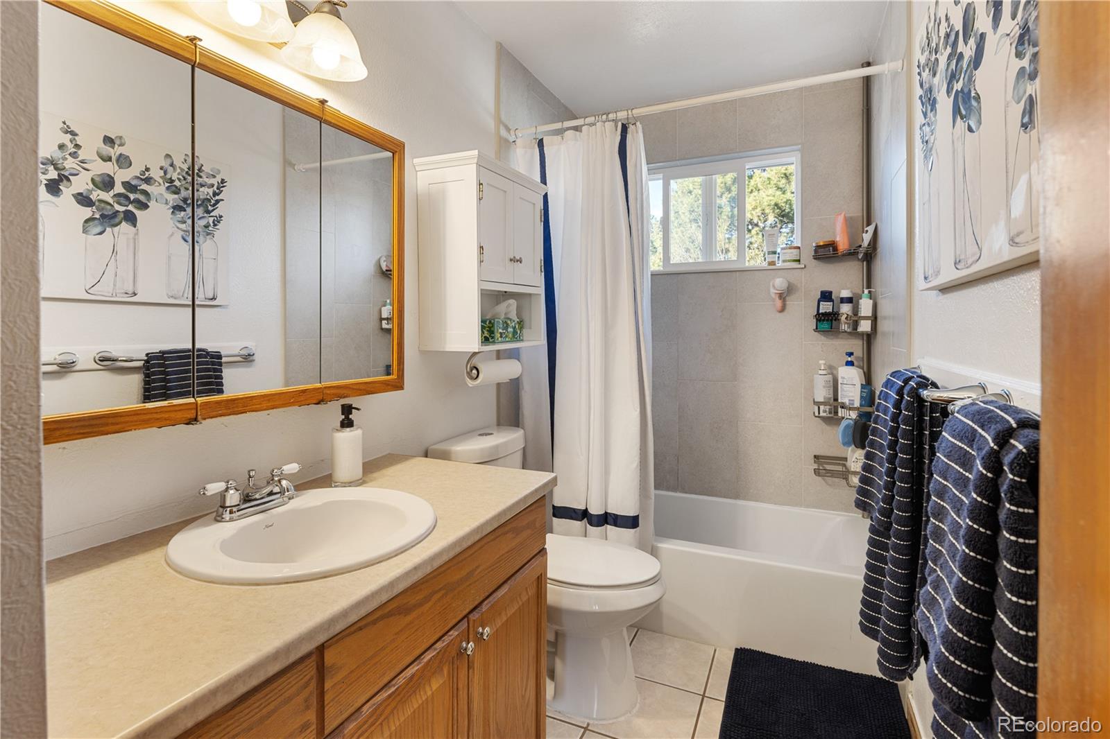 MLS Image #12 for 4615  quail street,wheat ridge, Colorado