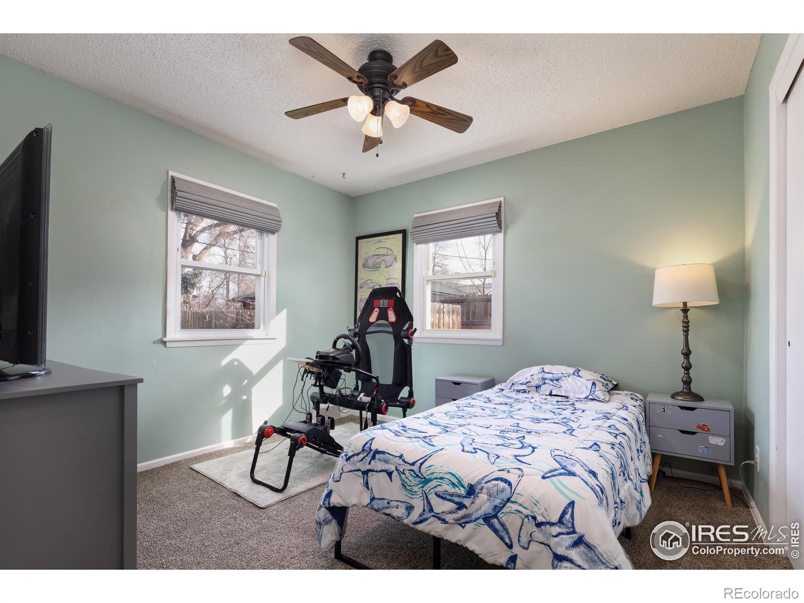 MLS Image #15 for 1148  gay street,longmont, Colorado