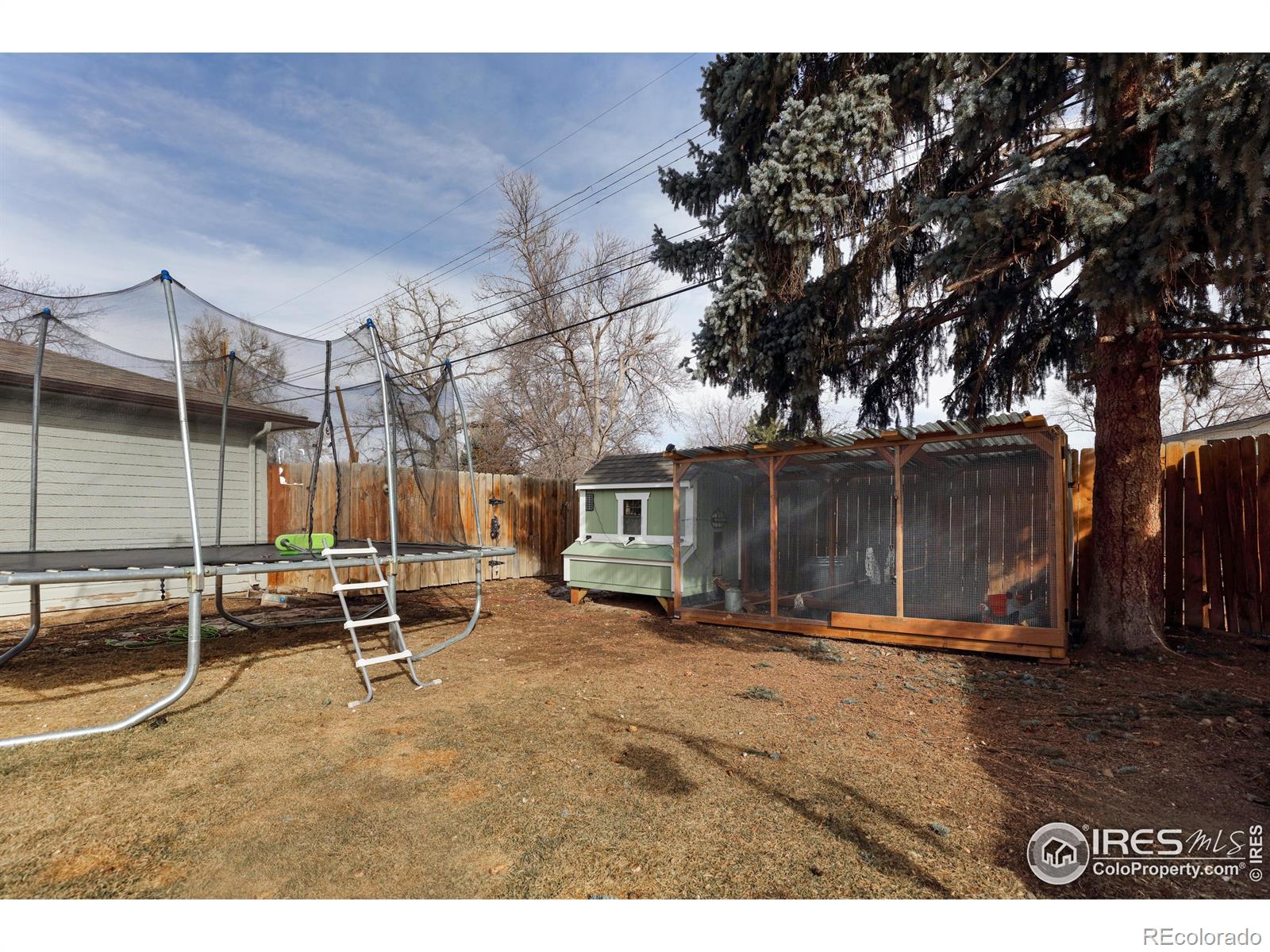 MLS Image #20 for 1148  gay street,longmont, Colorado